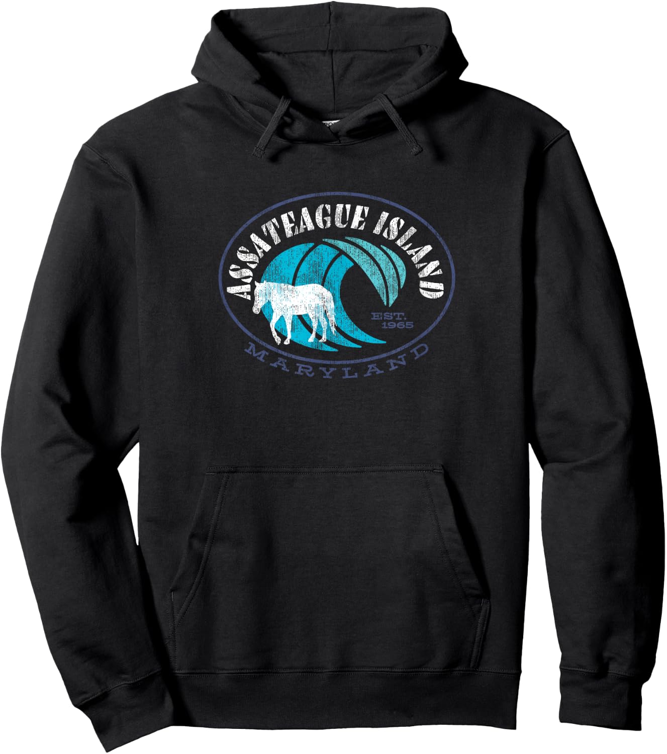 Assateague Island Wild Horse Pony Ponies Hoodie - Hoodie | Black