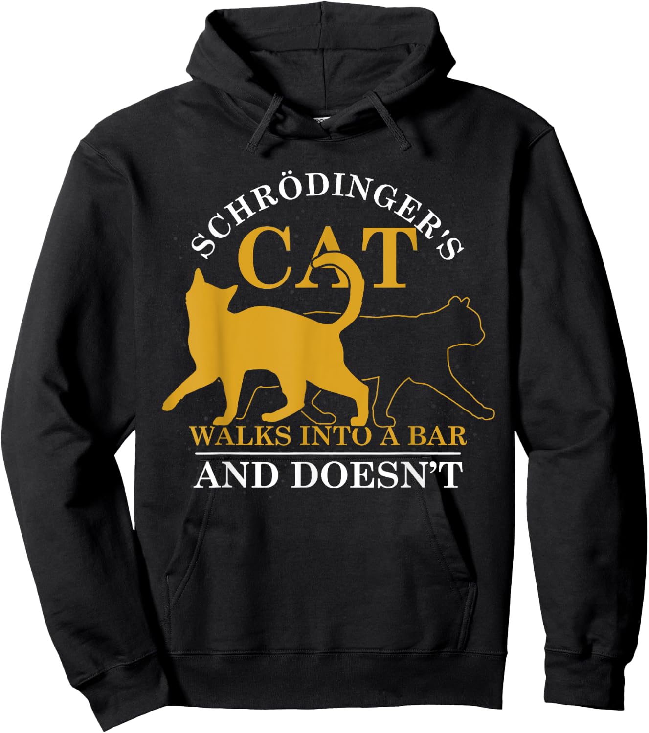 Physicist Humor Funny Scientist Gift Schroedingers Cat Hoodie - Hoodie | Black