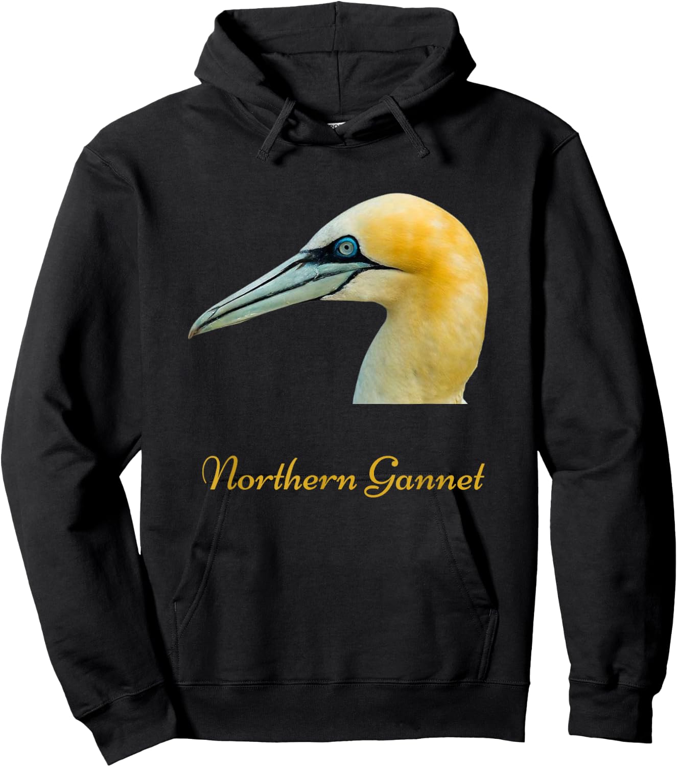 Northern Gannet Bird Ornithology Hoodie - Hoodie | Black