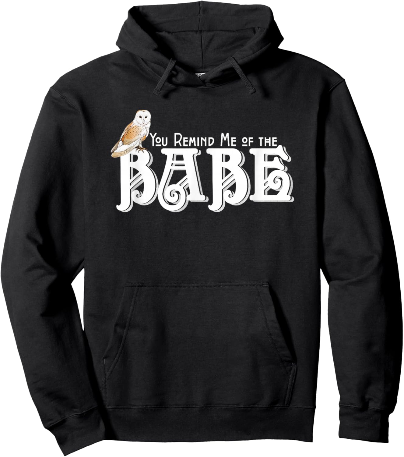 You Remind Me of the Babe Owl Hoodie - Hoodie | Black