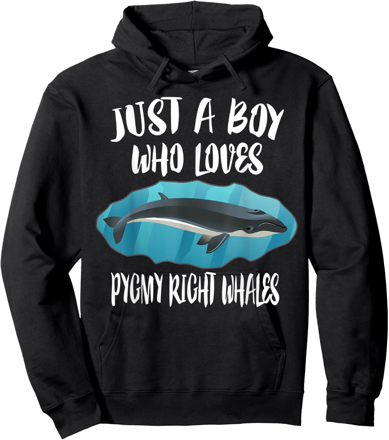 Just A Boy Who Loves Pygmy Right Whales Hoodie - Hoodie | Black