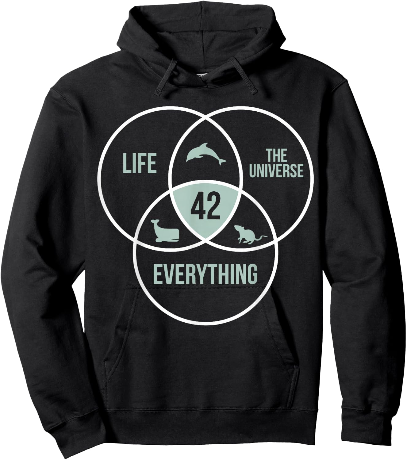Life The Universe and Everything 42 Answer to Life Hoodie - Hoodie | Black