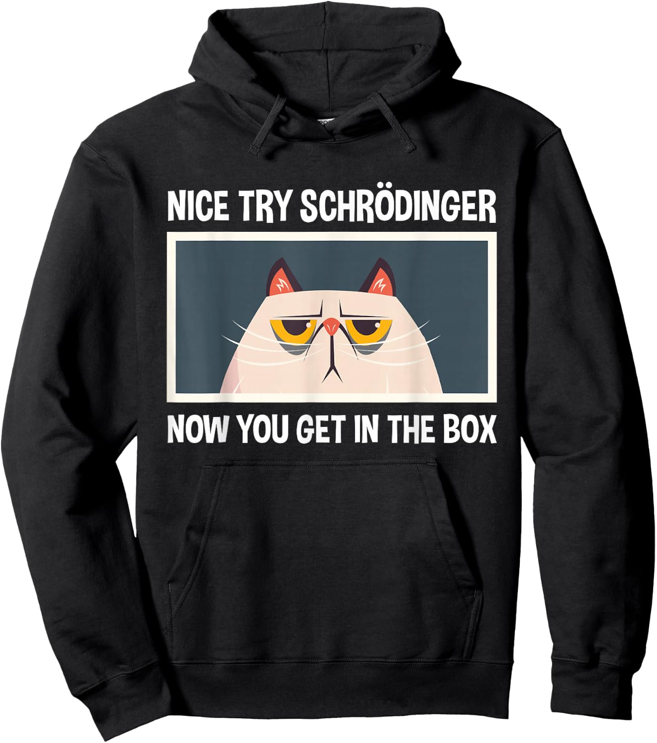 Schrodinger's Cat Funny Quantum Physics Physicists Hoodie - Hoodie | Black