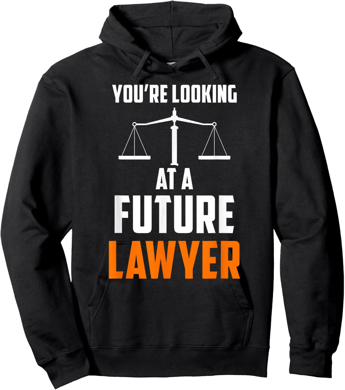 Du Hast Ein Futlichen Anwalt Vor Dir Jura Rechtsanwalt Hoodie - Hoodie | Black