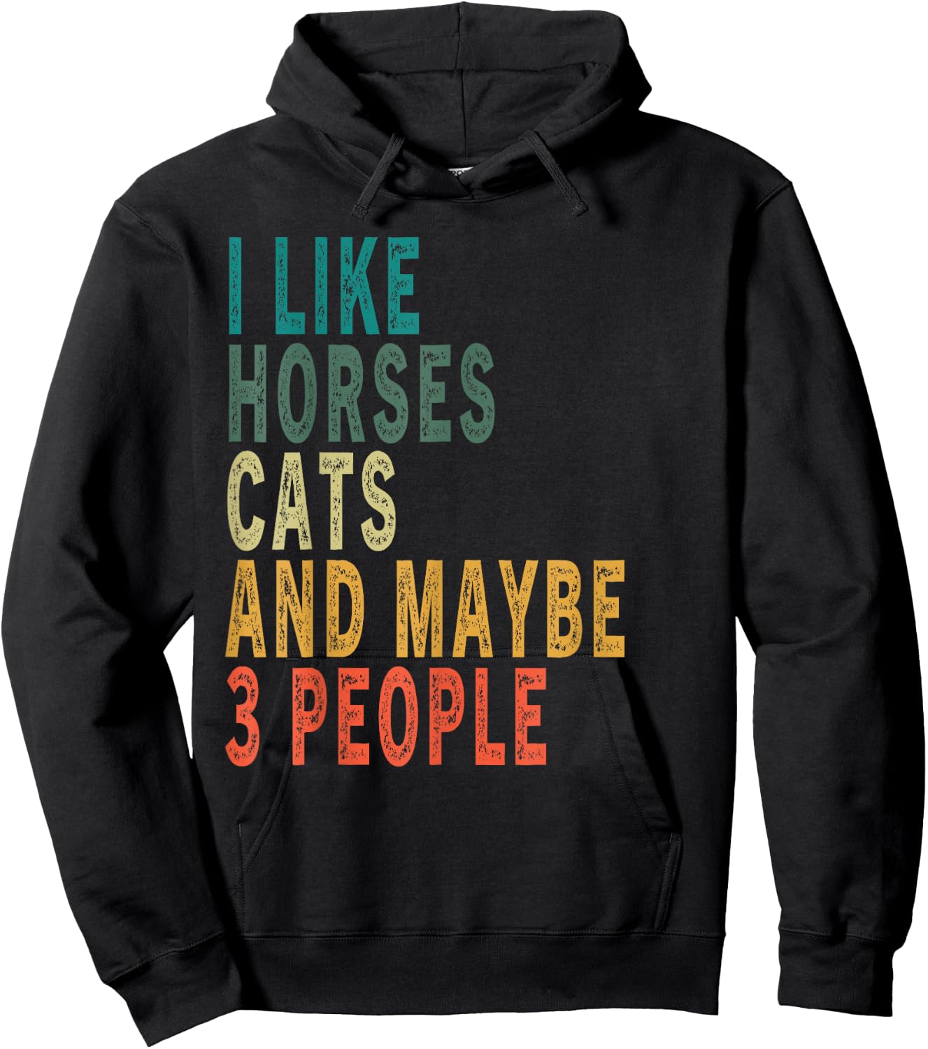 I Like Horses Cats & Maybe 3 People Vintage Horse Cat Lover Men Women Hoodie - Hoodie | Black