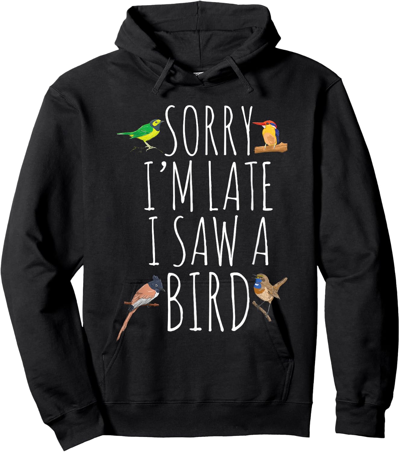 Sorry I'M Late I Saw A Bird Cute Bird Lover Birding Hoodie - Hoodie | Black
