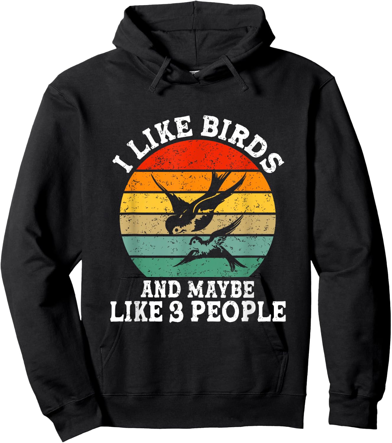 I Like Birds And Maybe 3 People Funny Retro Hoodie - Hoodie | Black