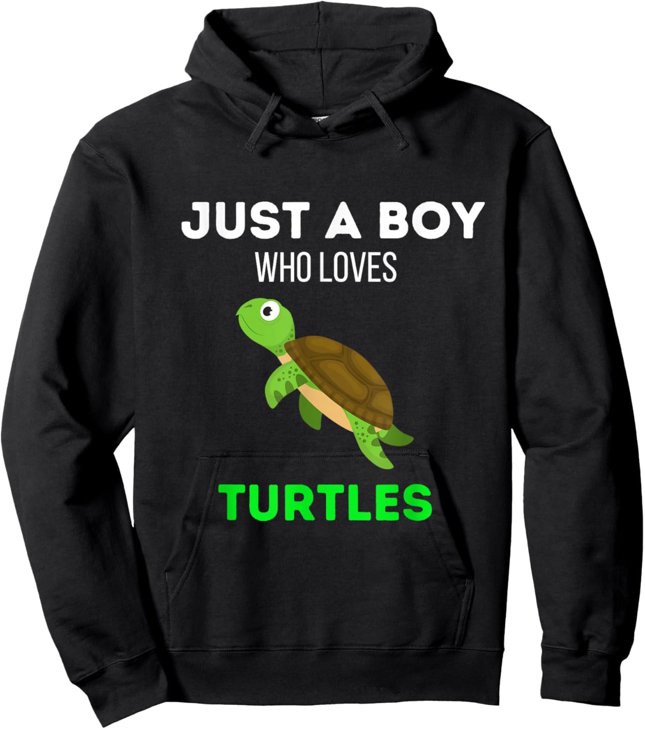 Just A Boy Who Loves Turtles Funny Turtle Lover Hoodie - Hoodie | Black