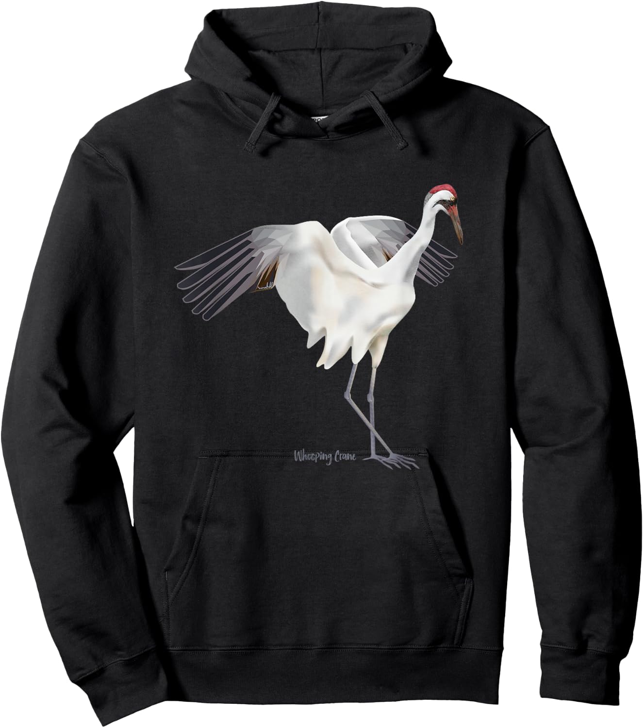 Whooping Crane Graphic Wildlife Bird Watching Hoodie - Hoodie | Black