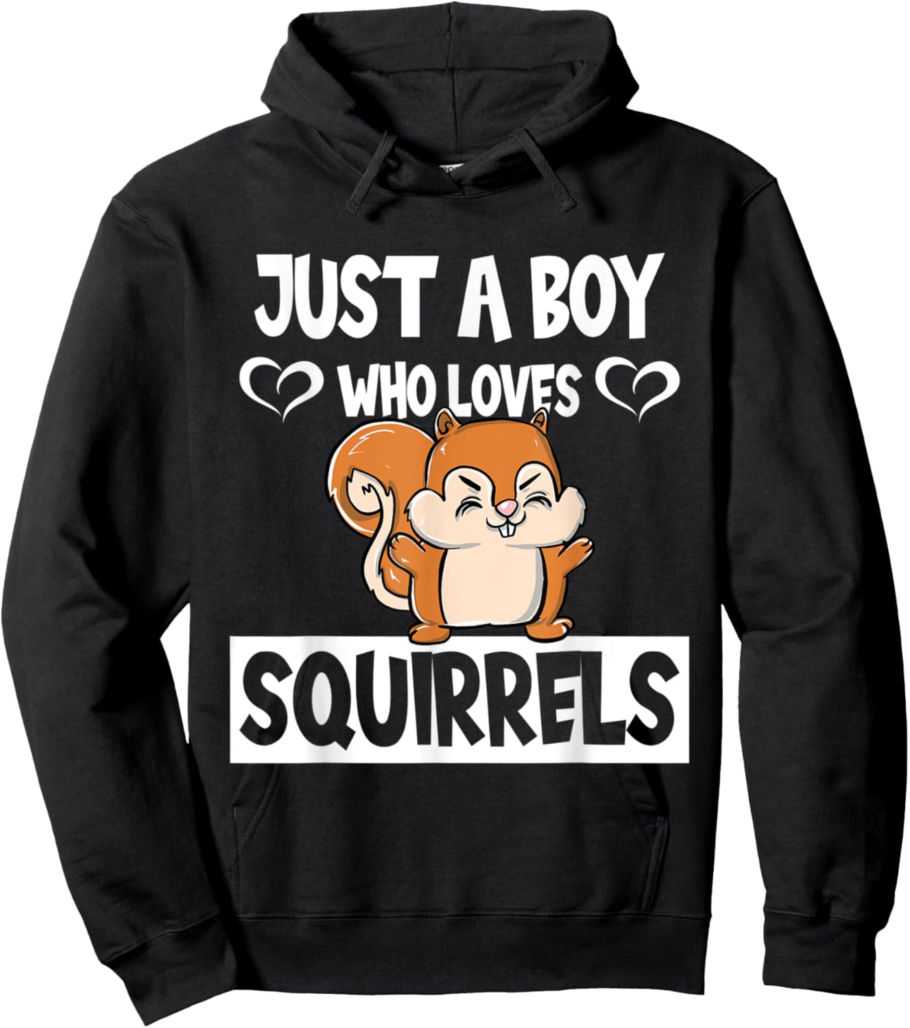 Just A Boy Who Loves Squirrels Animal Lover Enthusiast Gift Hoodie - Hoodie | Black