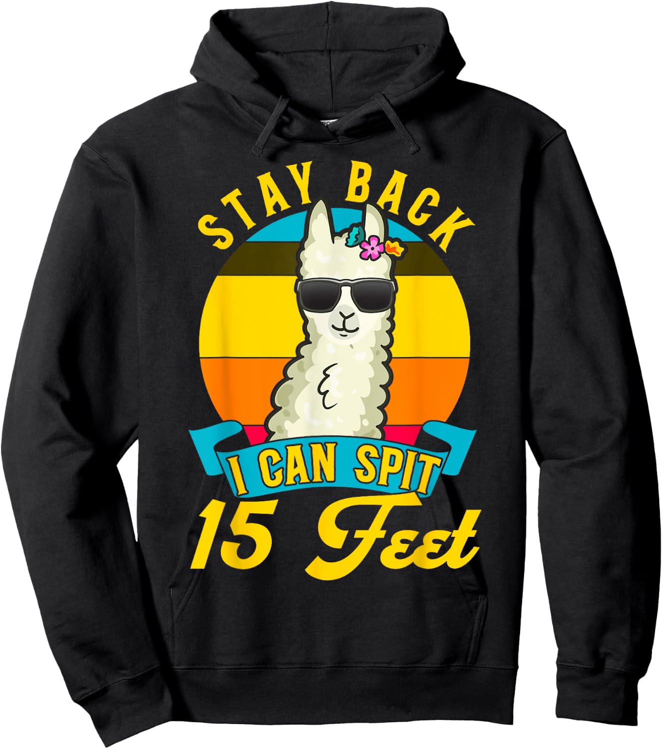 Cute Llama Lover Warning Careful Stay Back I Spit 15 Feet Hoodie - Hoodie | Black