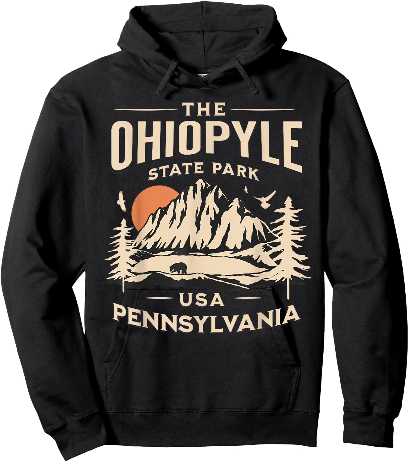 Ohiopyle State Park Pennsylvania Hike Outdoors Vintage Hoodie - Hoodie | Black