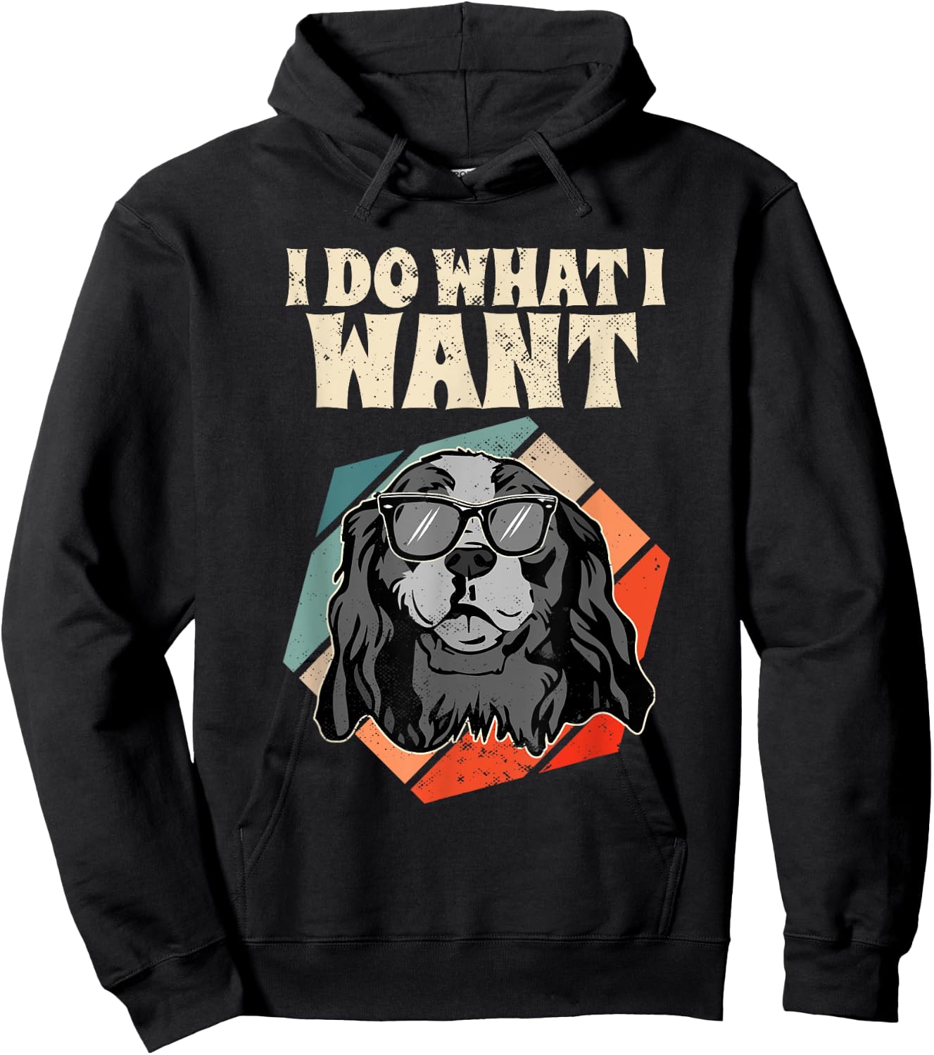 Retro I Do What I Want Cavalier King Charles Spaniel Hoodie - Hoodie | Black