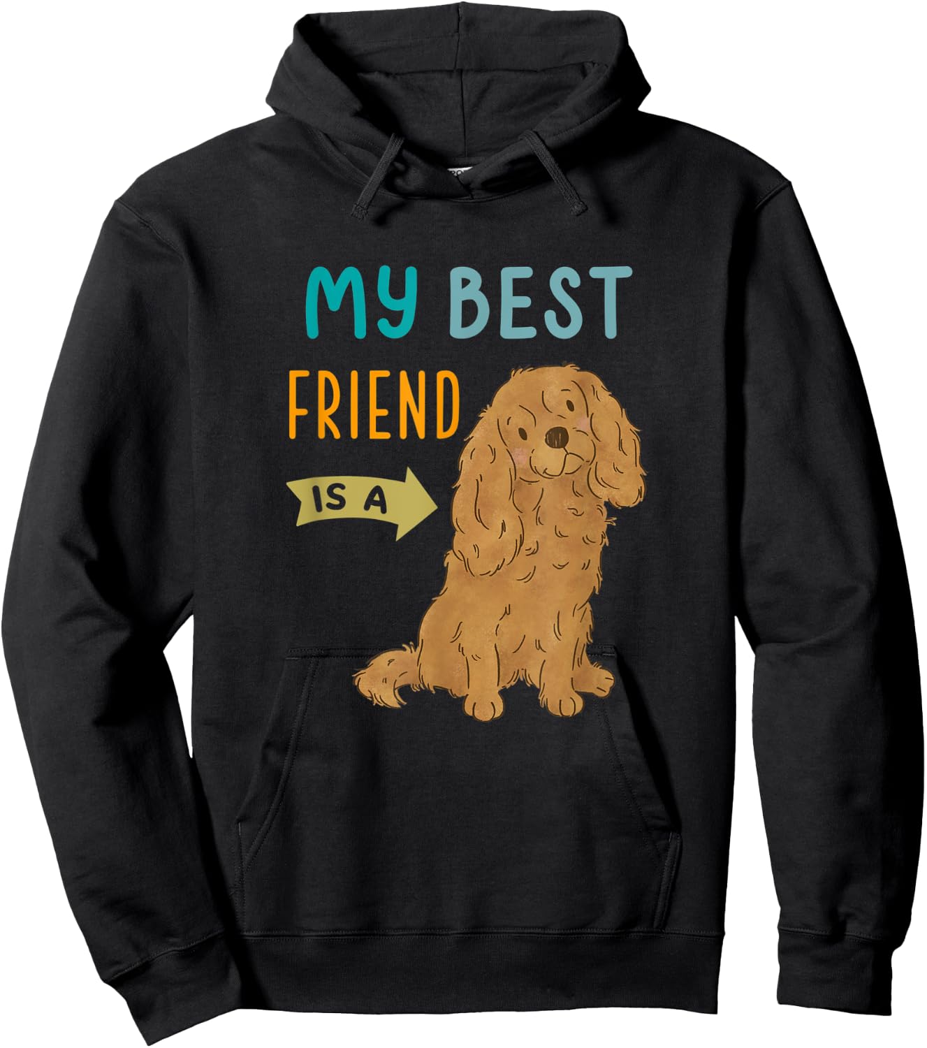 My Best Friend is a Ruby Cavalier King Charles Spaniel Hoodie - Hoodie | Black