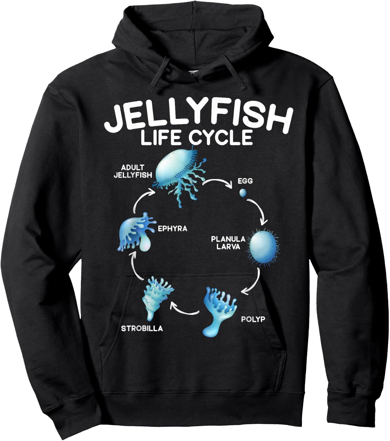 Jellyfish Life Cycle Animal Lover Jellyfish Season Hoodie - Hoodie | Black