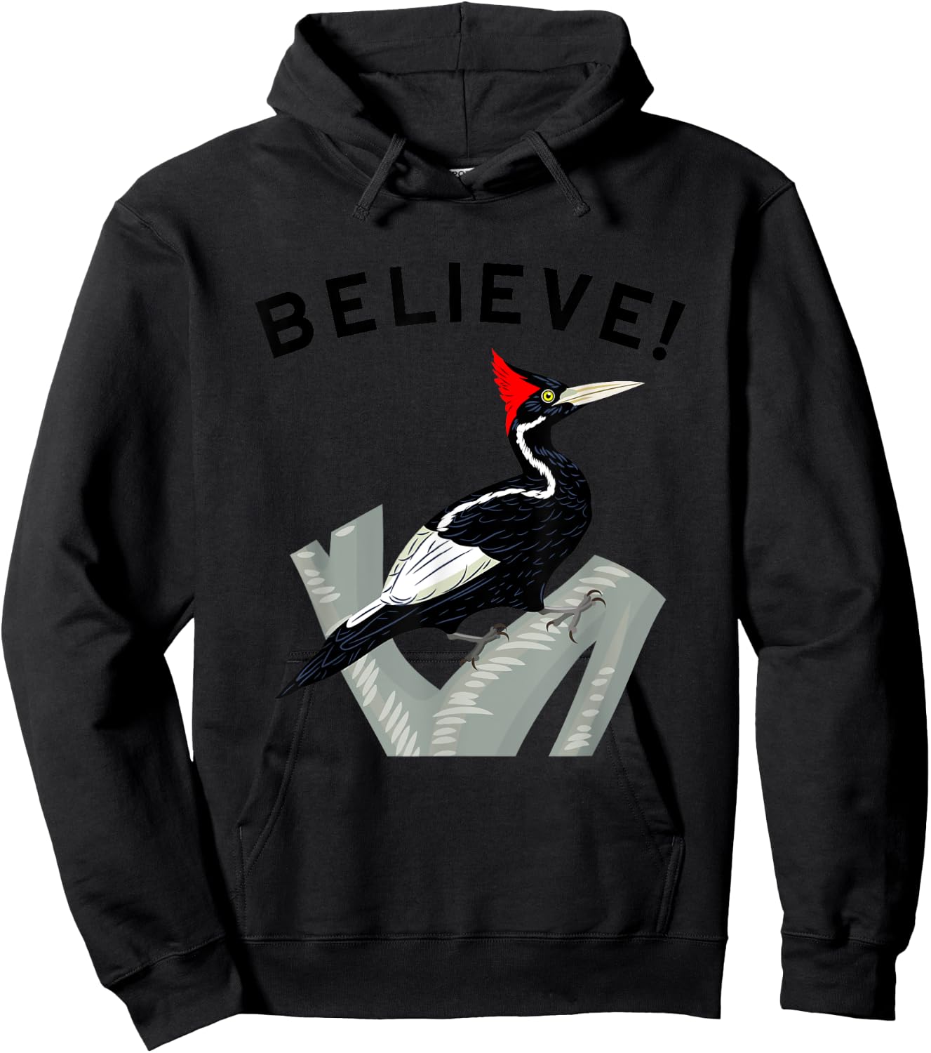 Birdwatching Gifts for Birders Endangered Ivory-Billed Woodpecker Hoodie - Hoodie | Black