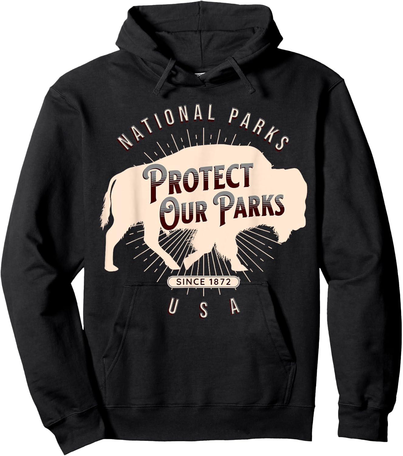 Protect Our Parks National Park America Hike Outdoors Hoodie - Hoodie | Black