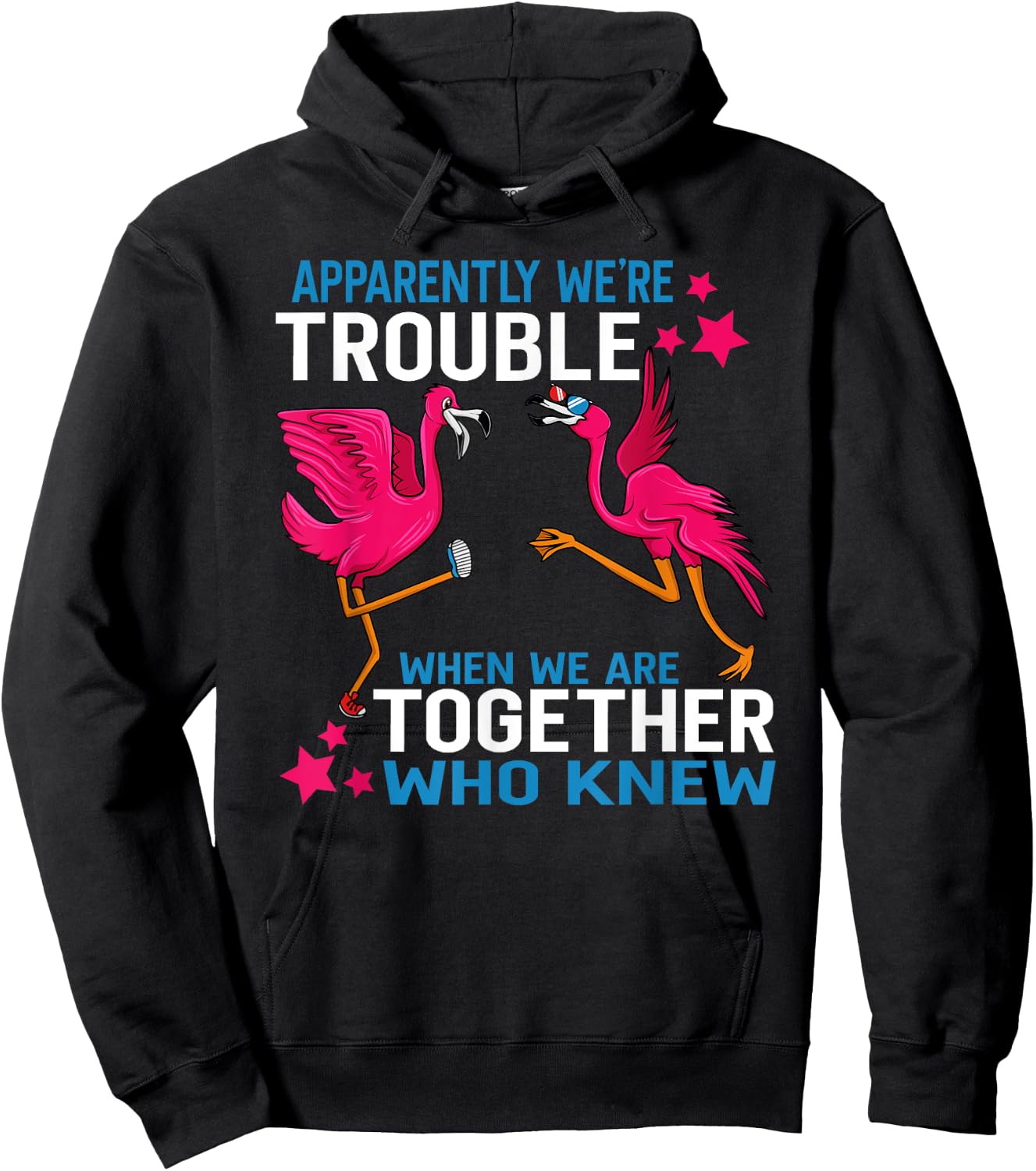 Apparently We Are Trouble When We Are Together Flamingo Hoodie - Hoodie | Black