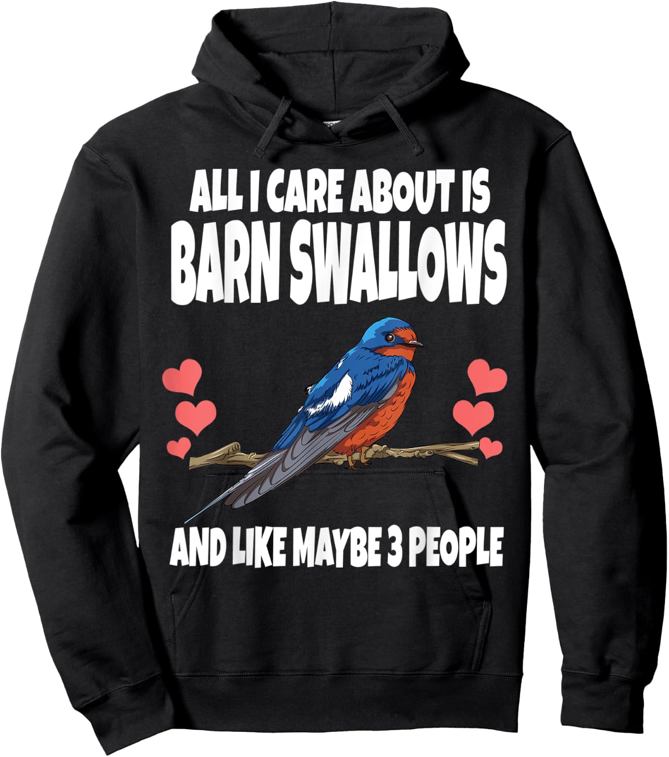 All I Care About Is Barn Swallows And Like Maybe 3 People Hoodie - Hoodie | Black