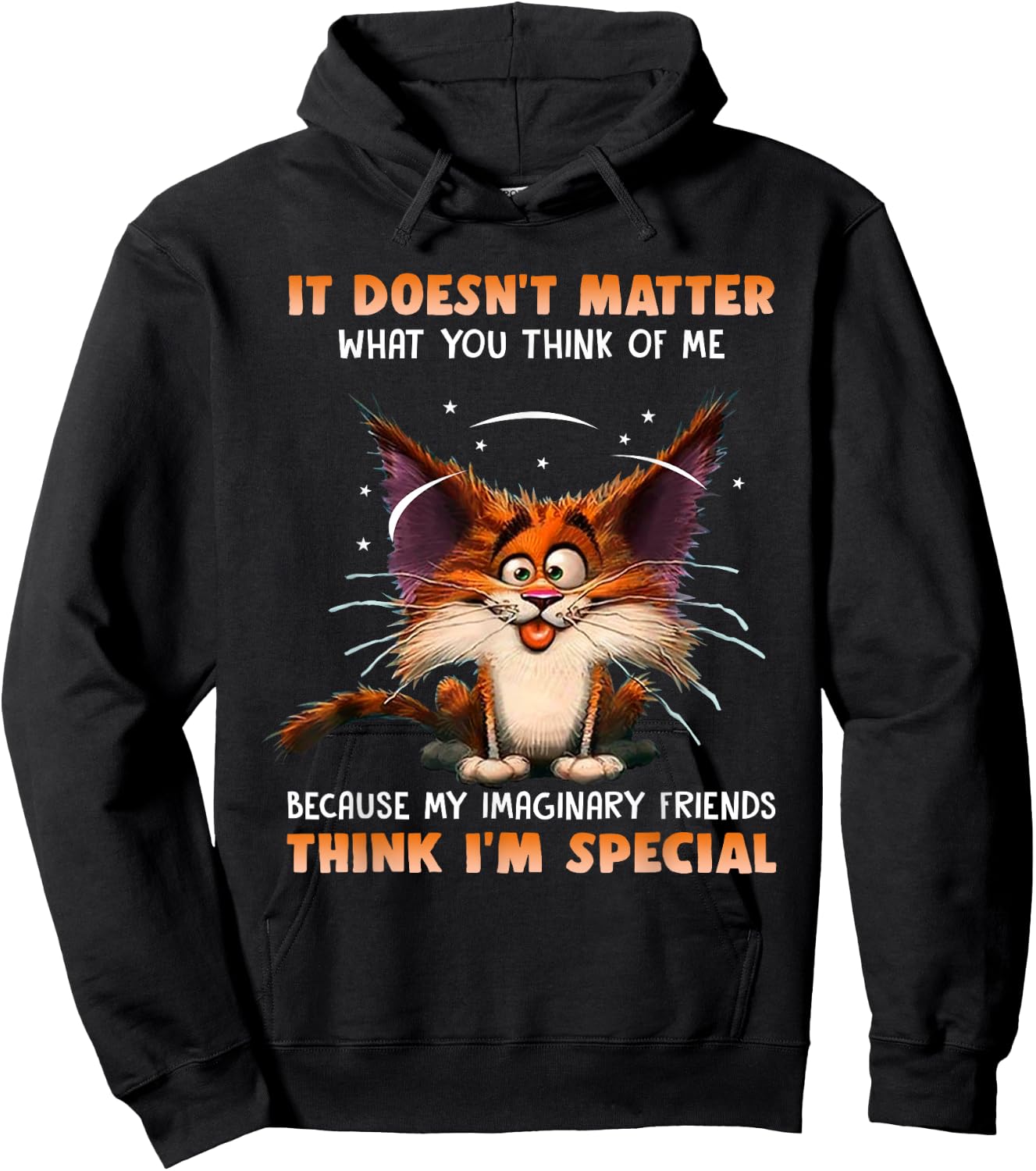 It Doesn't Matter What You Think Of Me Funny Cat Lover Hoodie - Hoodie | Black