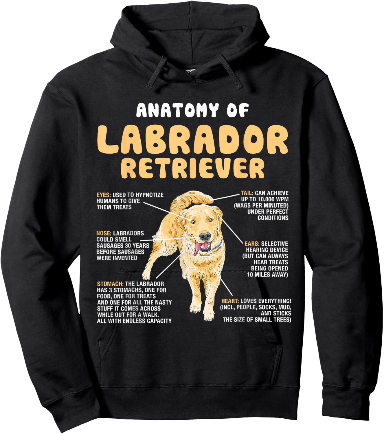 Anatomy Of Labrador Retriever Lovers Funny Lab Owners Hoodie - Hoodie | Black