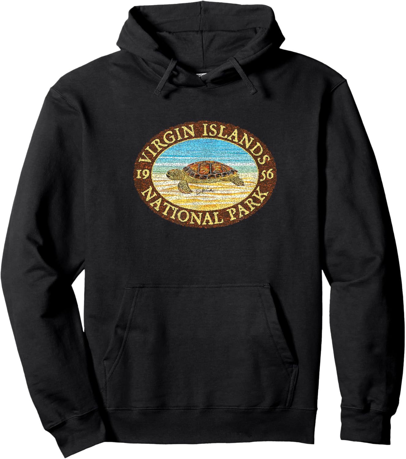 JCombs: Virgin Islands National Park, Sea Turtle on Beach Hoodie - Hoodie | Black