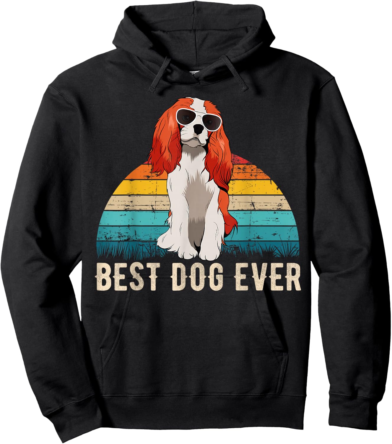 Cavalier King Charles Spaniel Dog Men Women Girls Kids Hoodie - Hoodie | Black