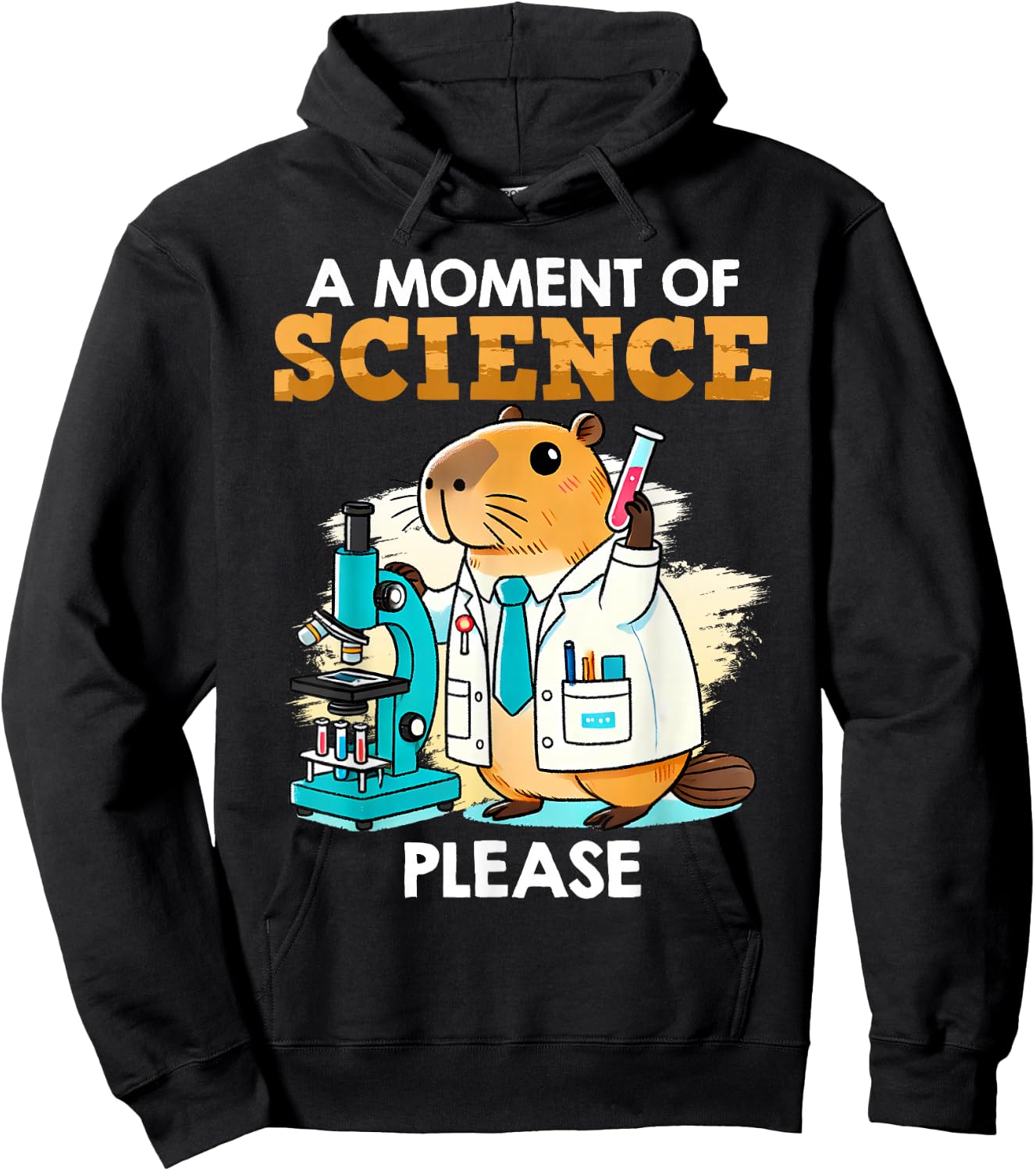 Scientists A MOMENT OF SCIENCE PLEASE Funny Capybara Hoodie - Hoodie | Black