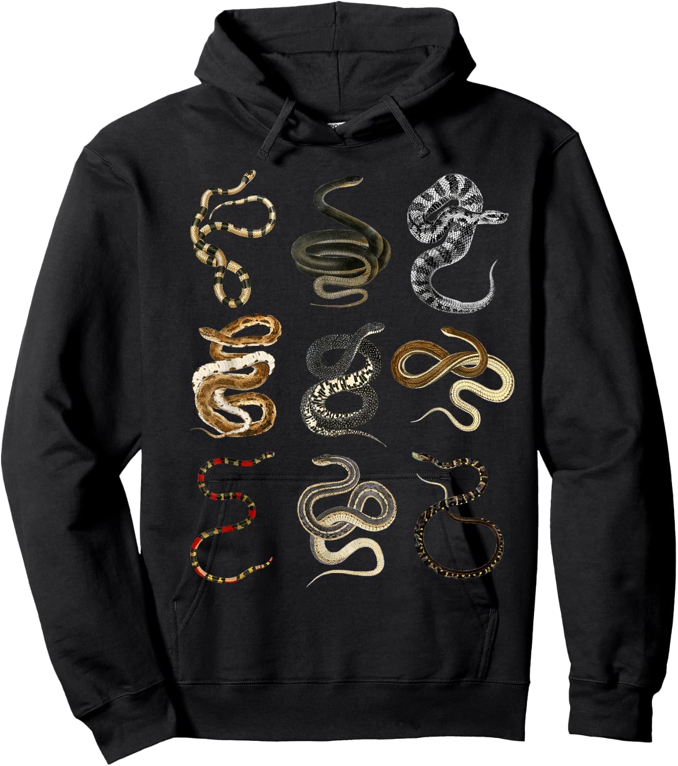 Different Types of Snakes for Snake Lovers Hoodie - Hoodie | Black