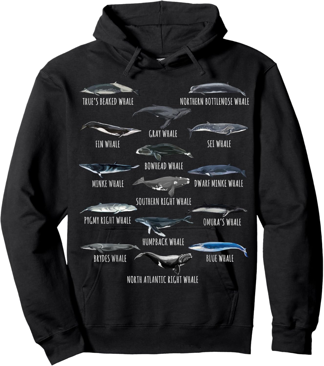Different Whale Species Biology Types Of Whales Hoodie - Hoodie | Black