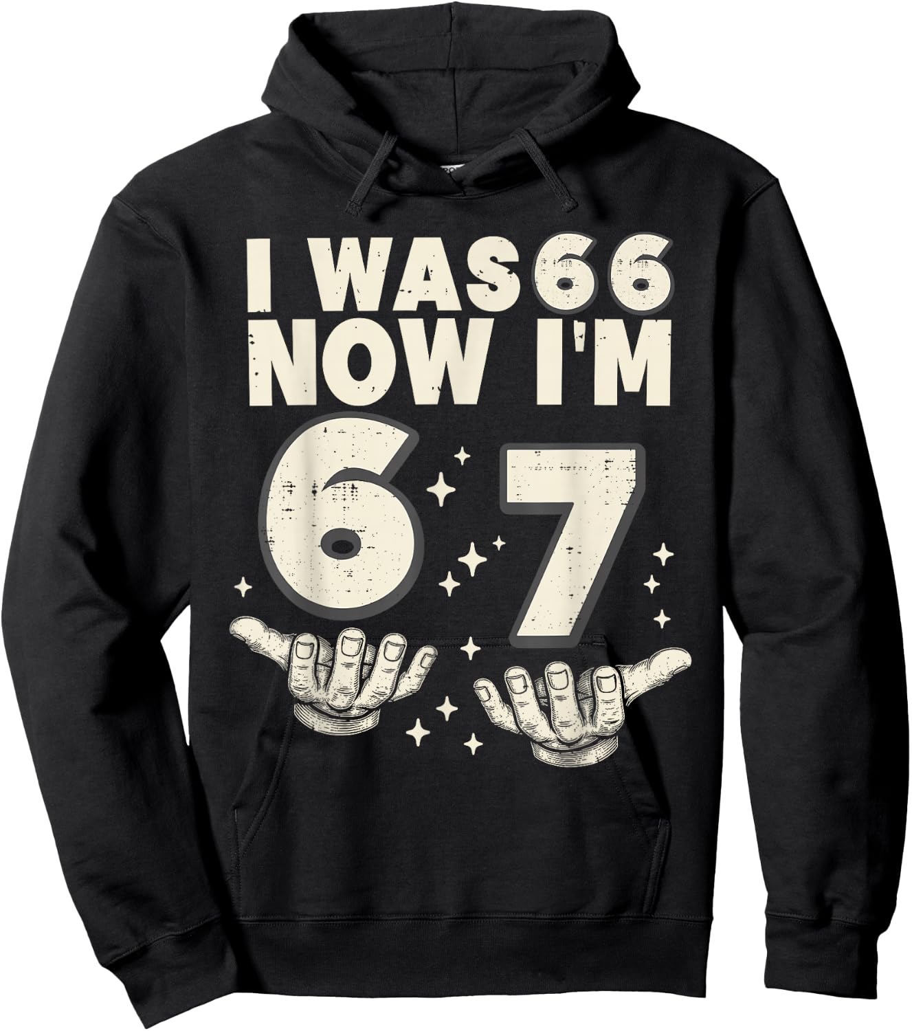 I was 66 Now I'm 67 Funny 67th Birthday Party 67 Year Old Hoodie - Hoodie | Black
