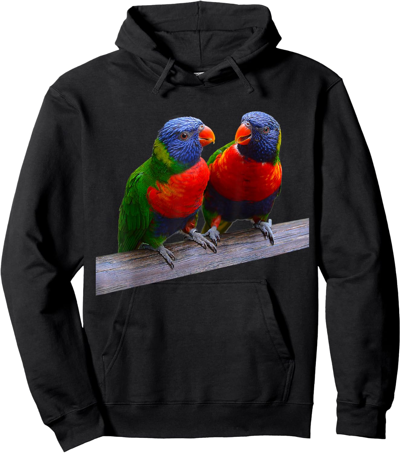 Parrot Bird Two Rainbow Lorikeet Parrots Ornithology Hoodie - Hoodie | Black