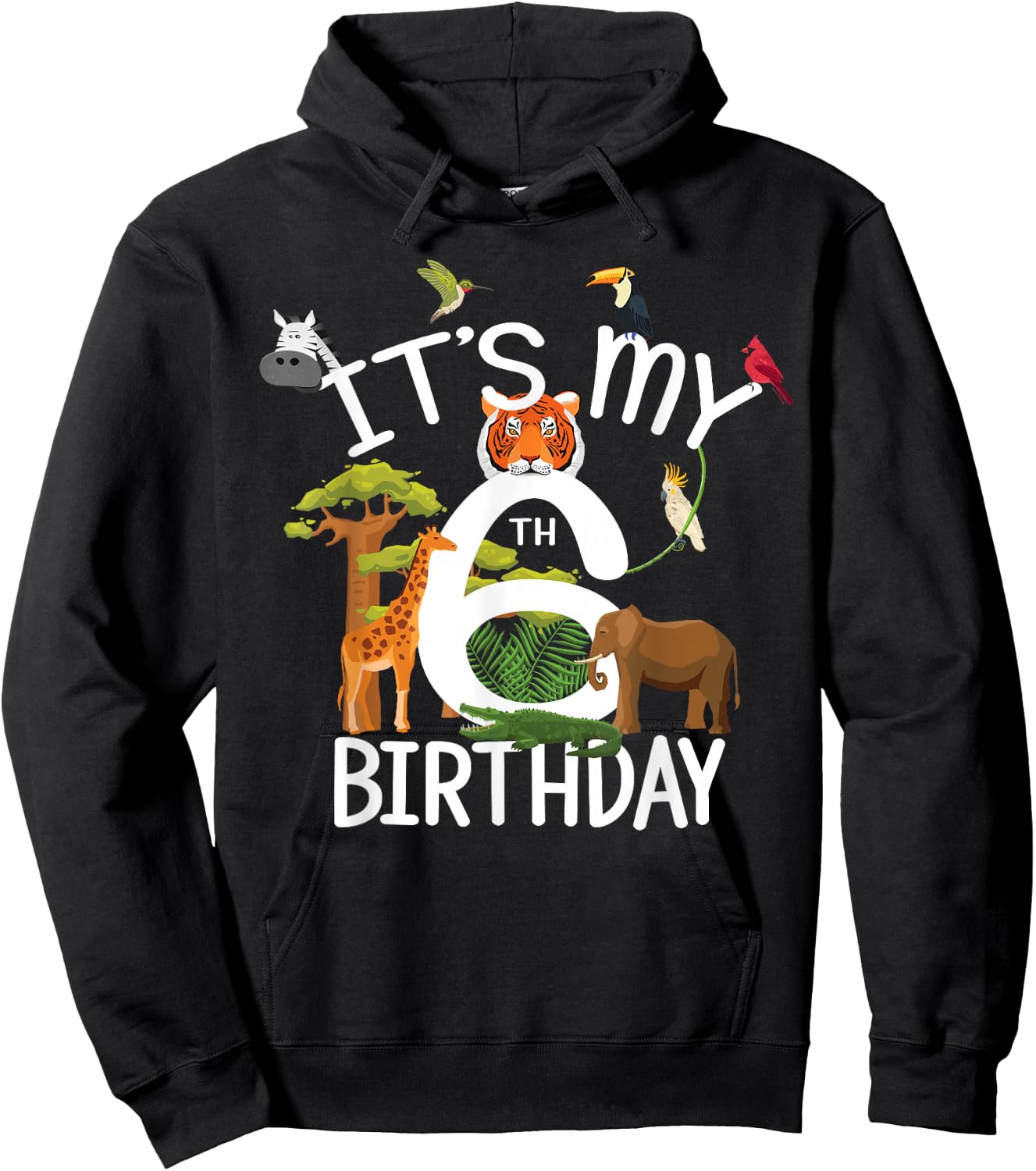 It's My 6th Birthday Boy Zoo Theme 6 Years Old Animal Party Hoodie - Hoodie | Black