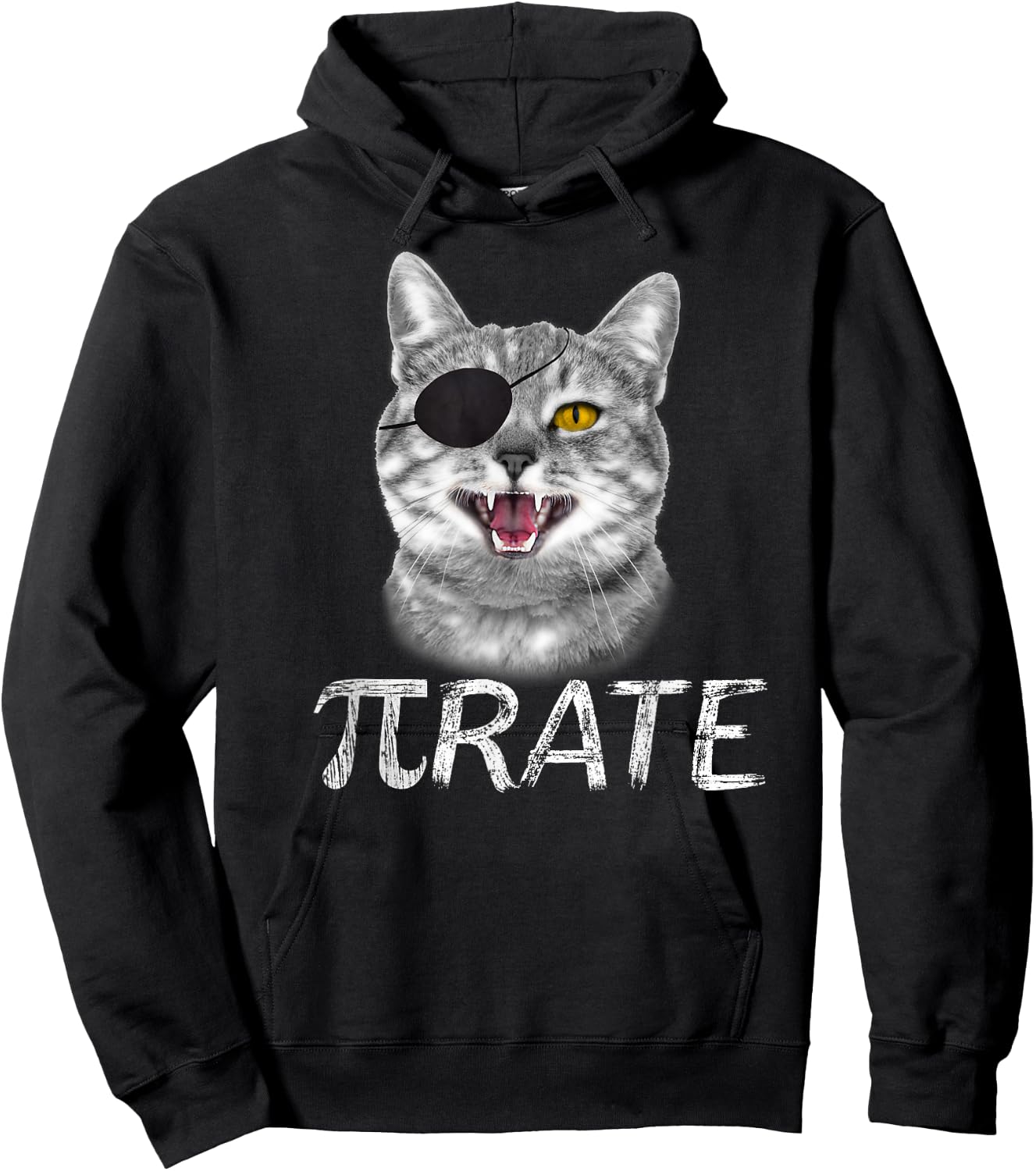 Funny Pi Day Math Science Cat Pirate Hoodie - Hoodie | Black