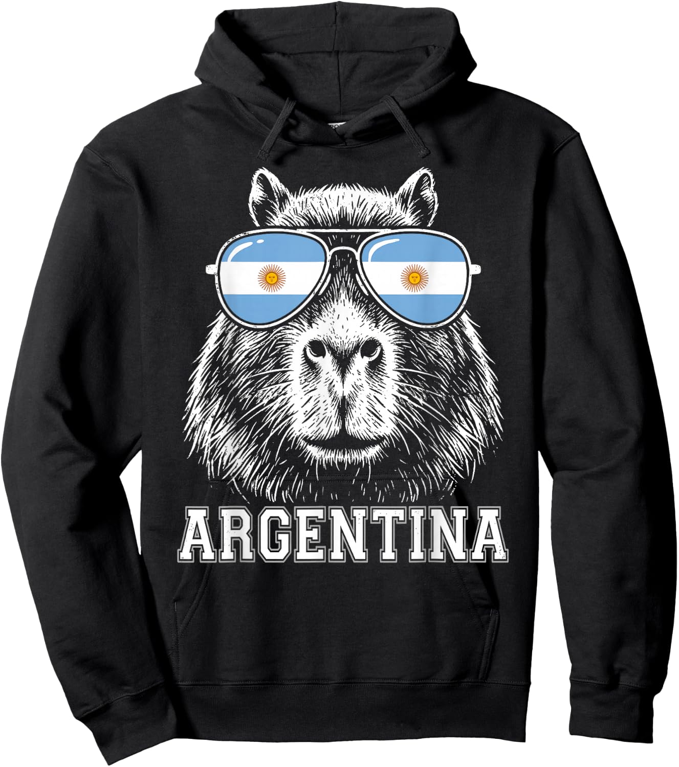 Argentinian Capybara Argentina Flag Sunglasses Argentine Hoodie - Hoodie | Black