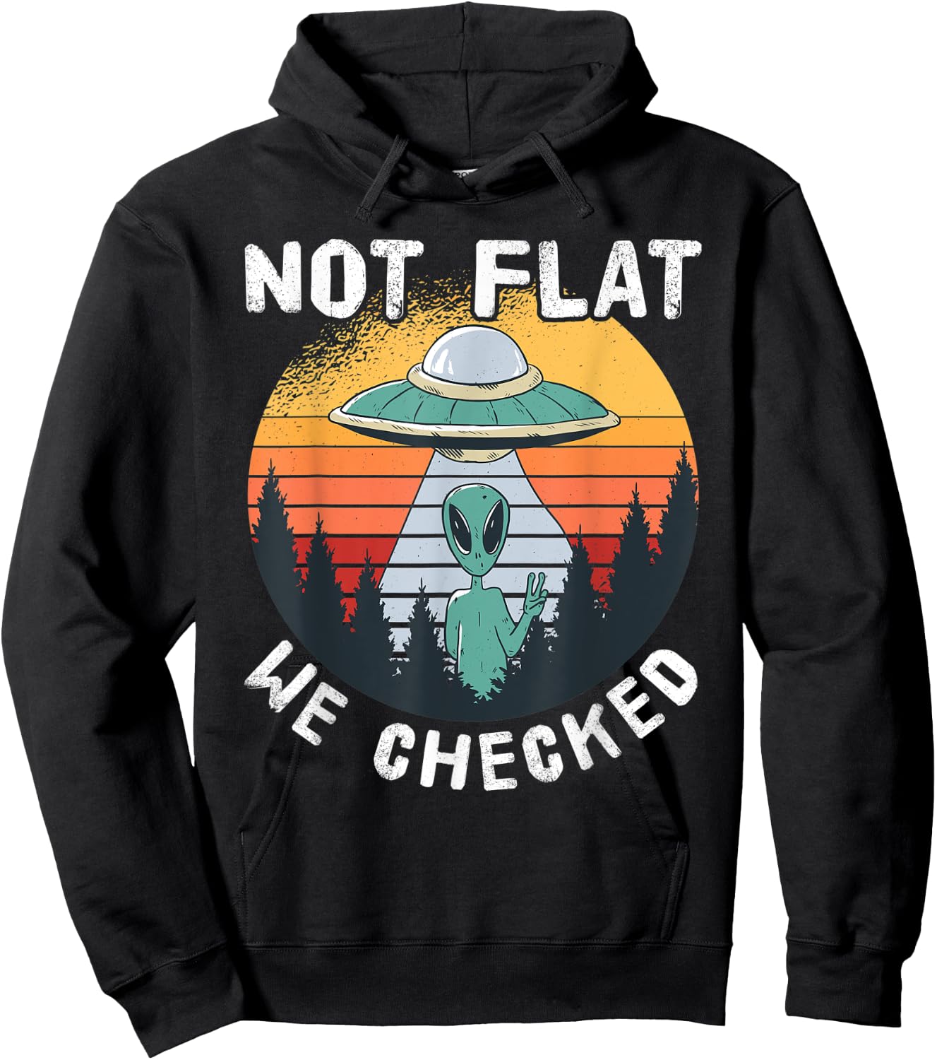 Alien UFO Not Flat We Checked Hoodie - Hoodie | Black
