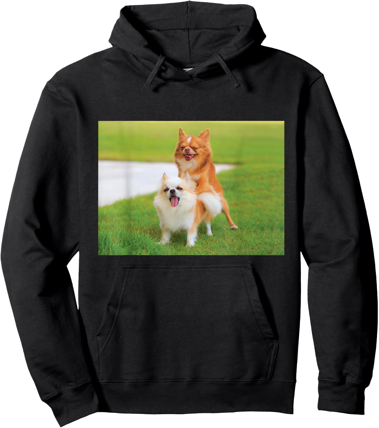 Fun Two Dogs Humping Chihuahua Pet Owner Humor Dog Lover Hoodie - Hoodie | Black