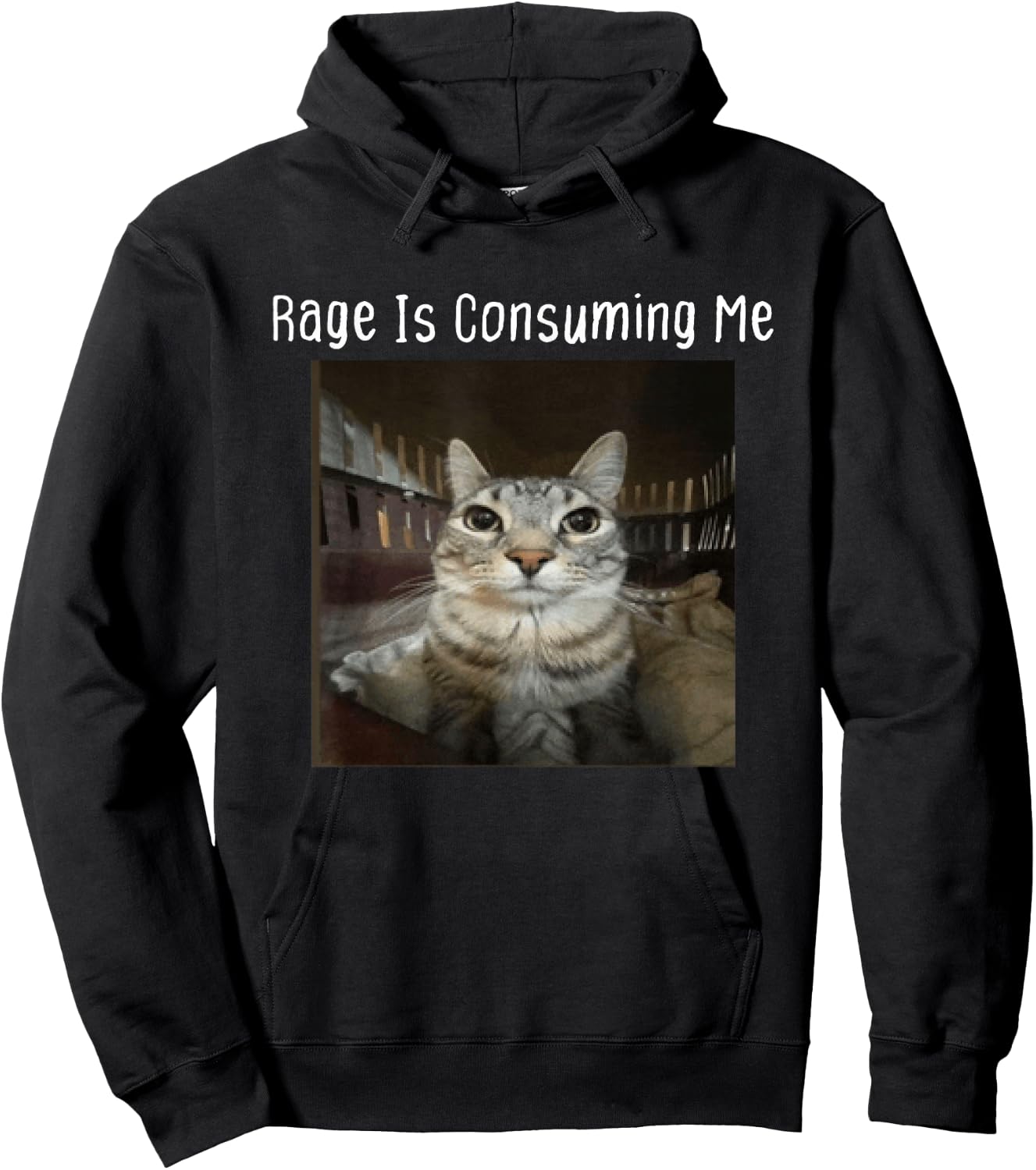 Rage Is Consuming Me Silly Staring Cat Meme Hoodie - Hoodie | Black