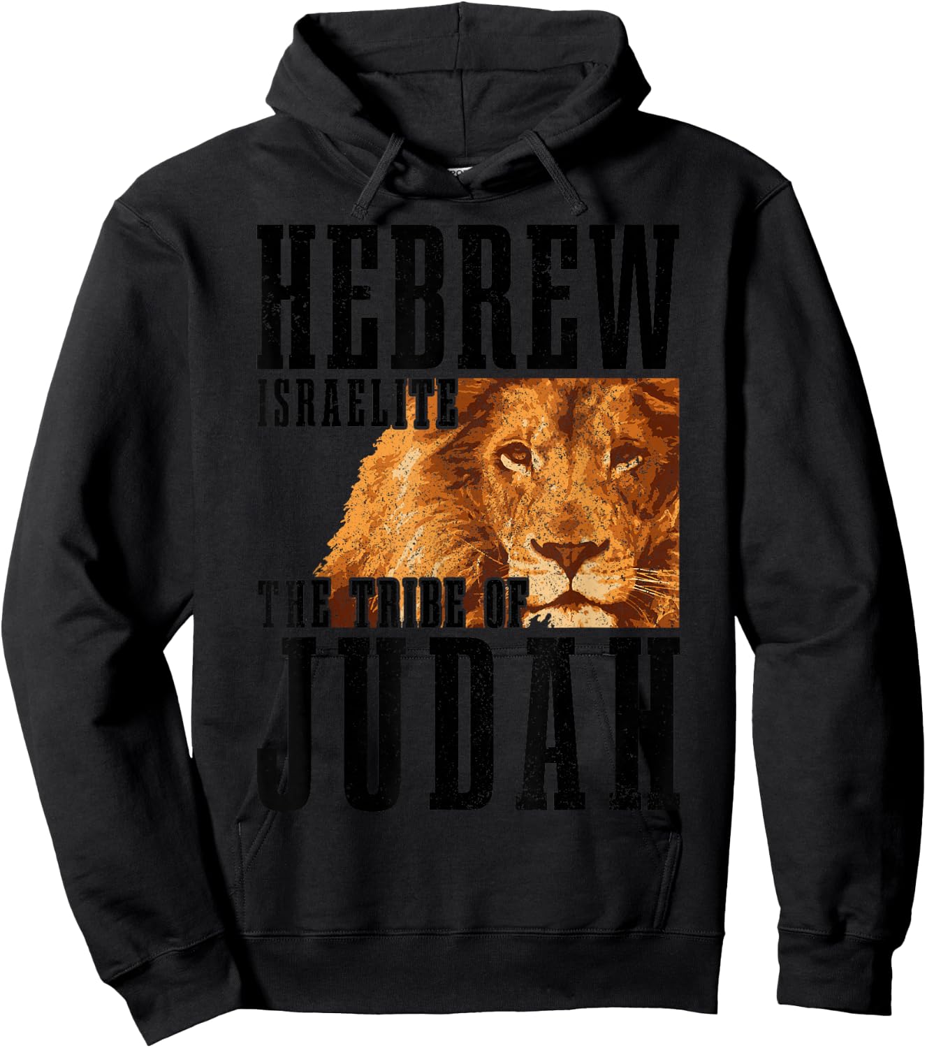 Hebrew Israelite Tribe Of Judah Lion Jew Jewish Israel Hoodie - Hoodie | Black