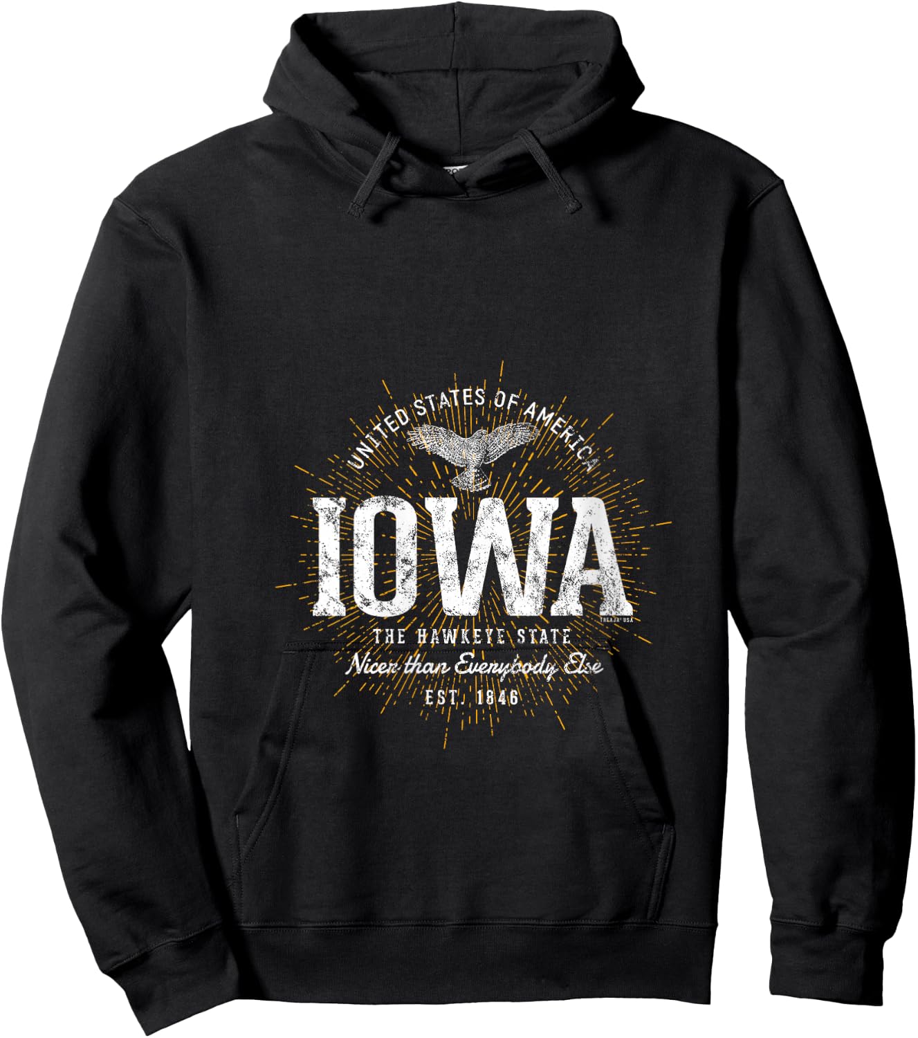 Vintage State of Iowa Retro V-Neck Hoodie - Hoodie | Black