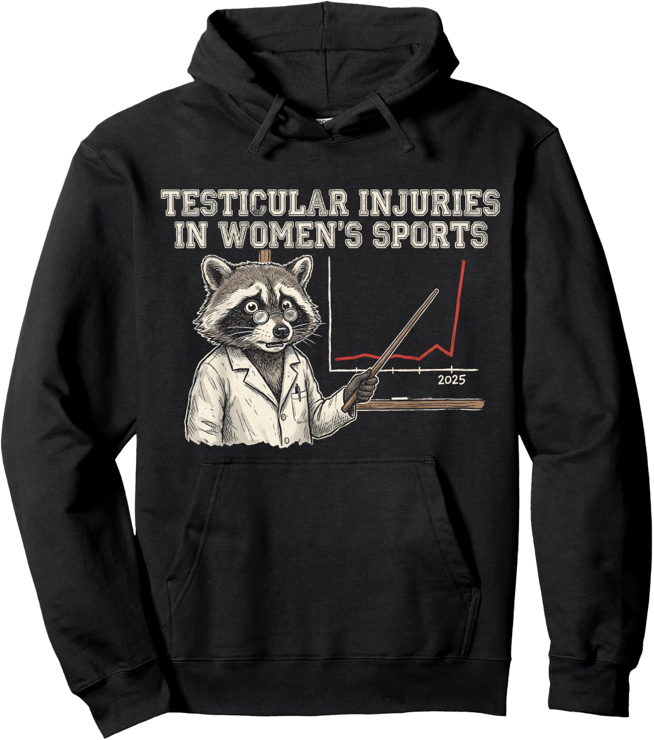 Testicular Injuries in Sports Raccoon Hoodie - Hoodie | Black