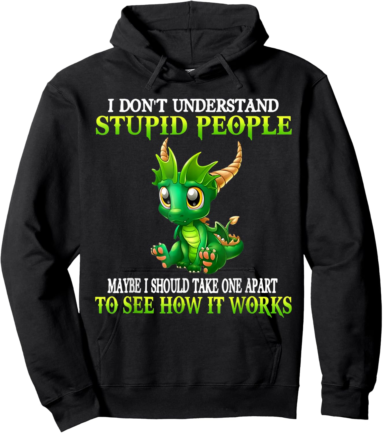 I Don't Understand Stupid People Cute Dragons Lover Funny Hoodie - Hoodie | Black