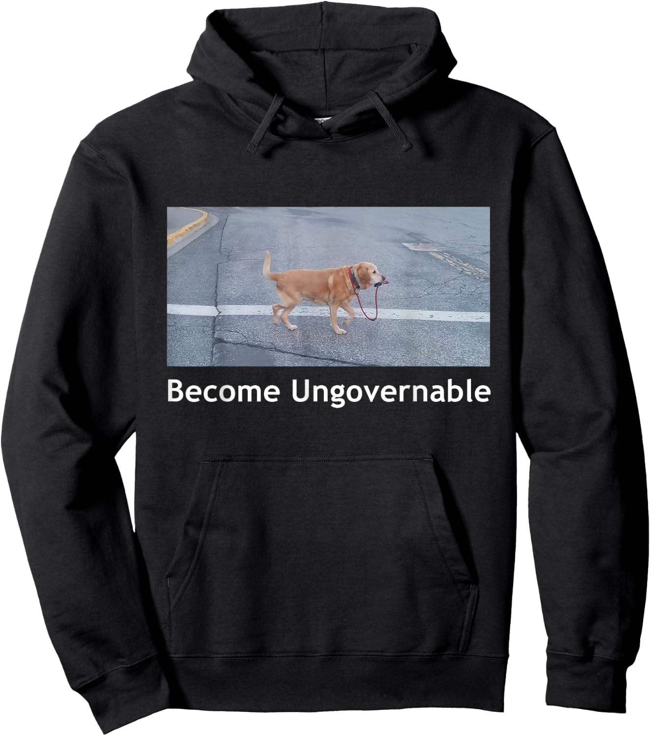 Become Ungovernable Funny Dog Meme Men Women Small Hoodie - Hoodie | Black
