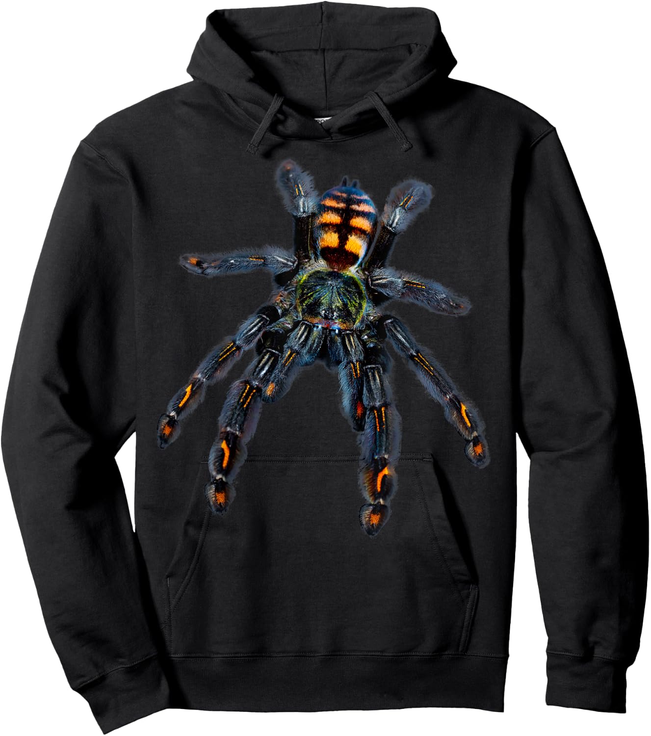 Venezuelan Sun Tiger Tarantula Spider (P. irminia) Hoodie - Hoodie | Black