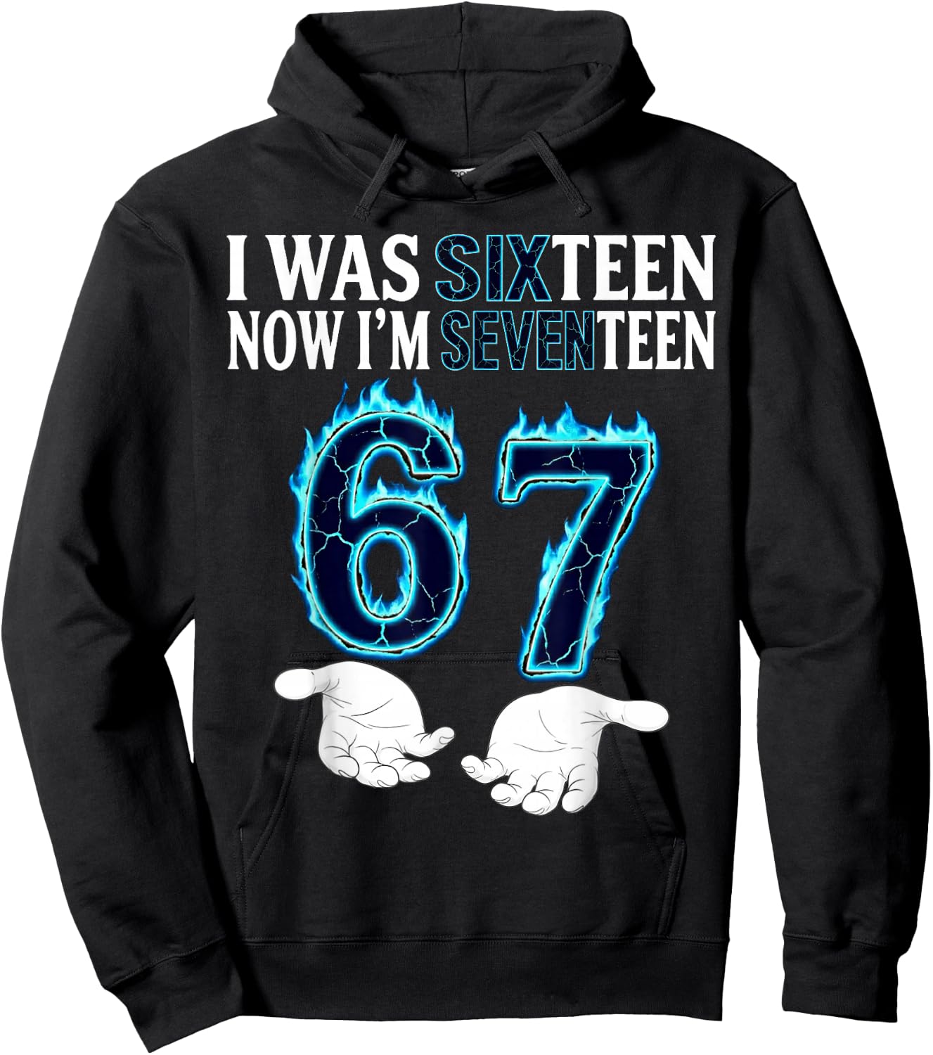 I was 16 Now I’m 17 Year Old Funny Meme Retro Seventeen Hoodie - Hoodie | Black
