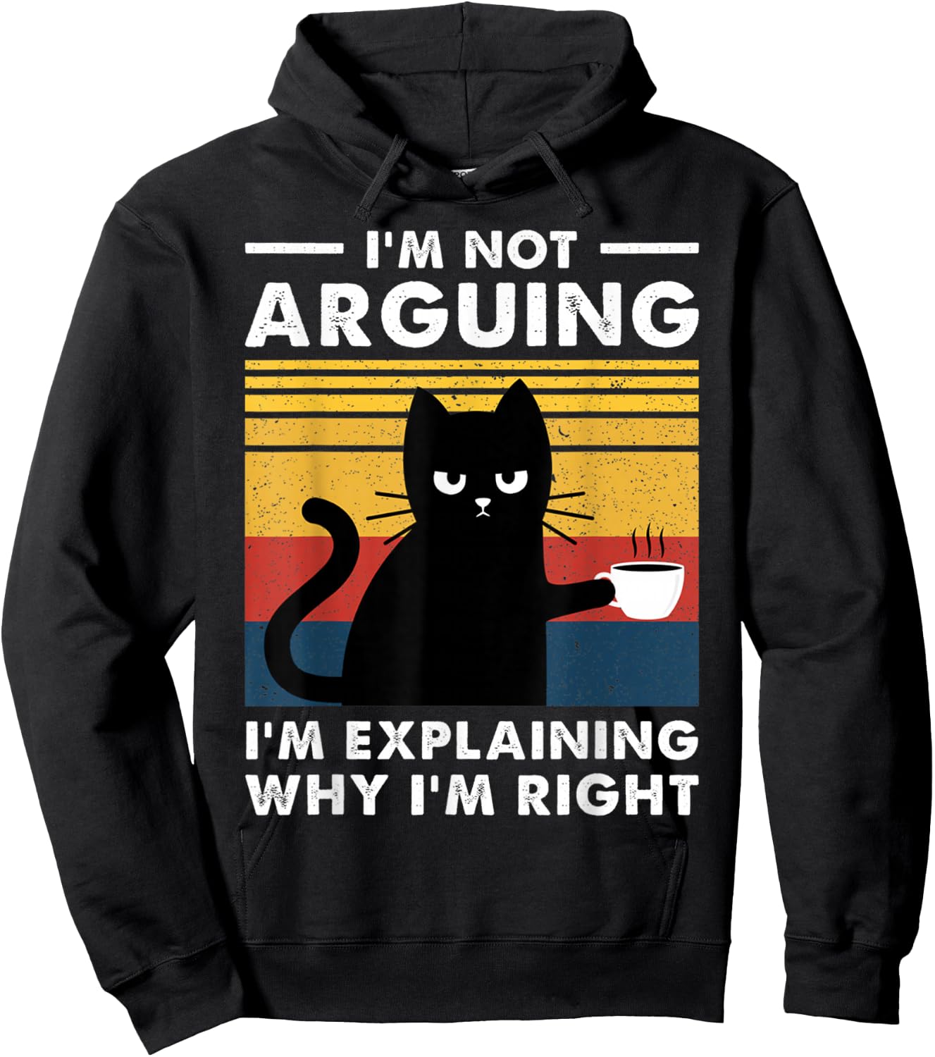 I'm Not Arguing I'm Just Explaining Why I'm Right Funny Cat Hoodie - Hoodie | Black