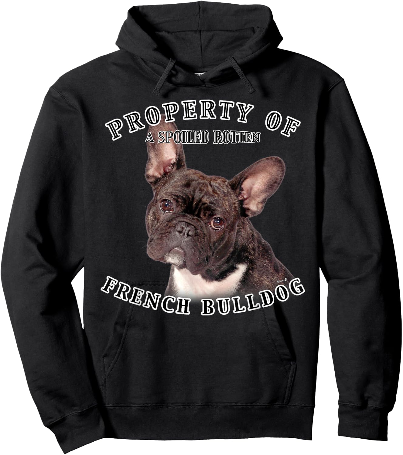 French Bulldog Brindle Owner Funny French Bulldog Hoodie - Hoodie | Black