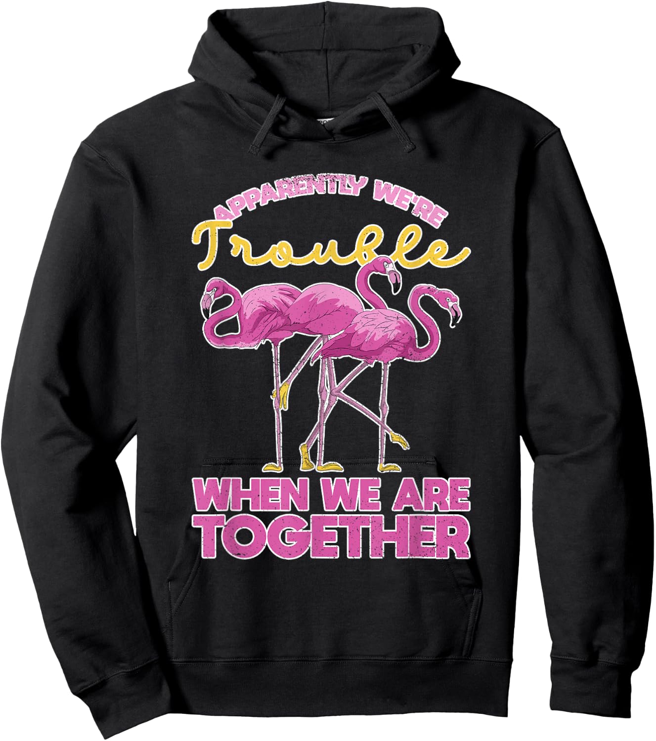 Apparently Were Trouble When We Are Together Funny Flamingo Hoodie - Hoodie | Black