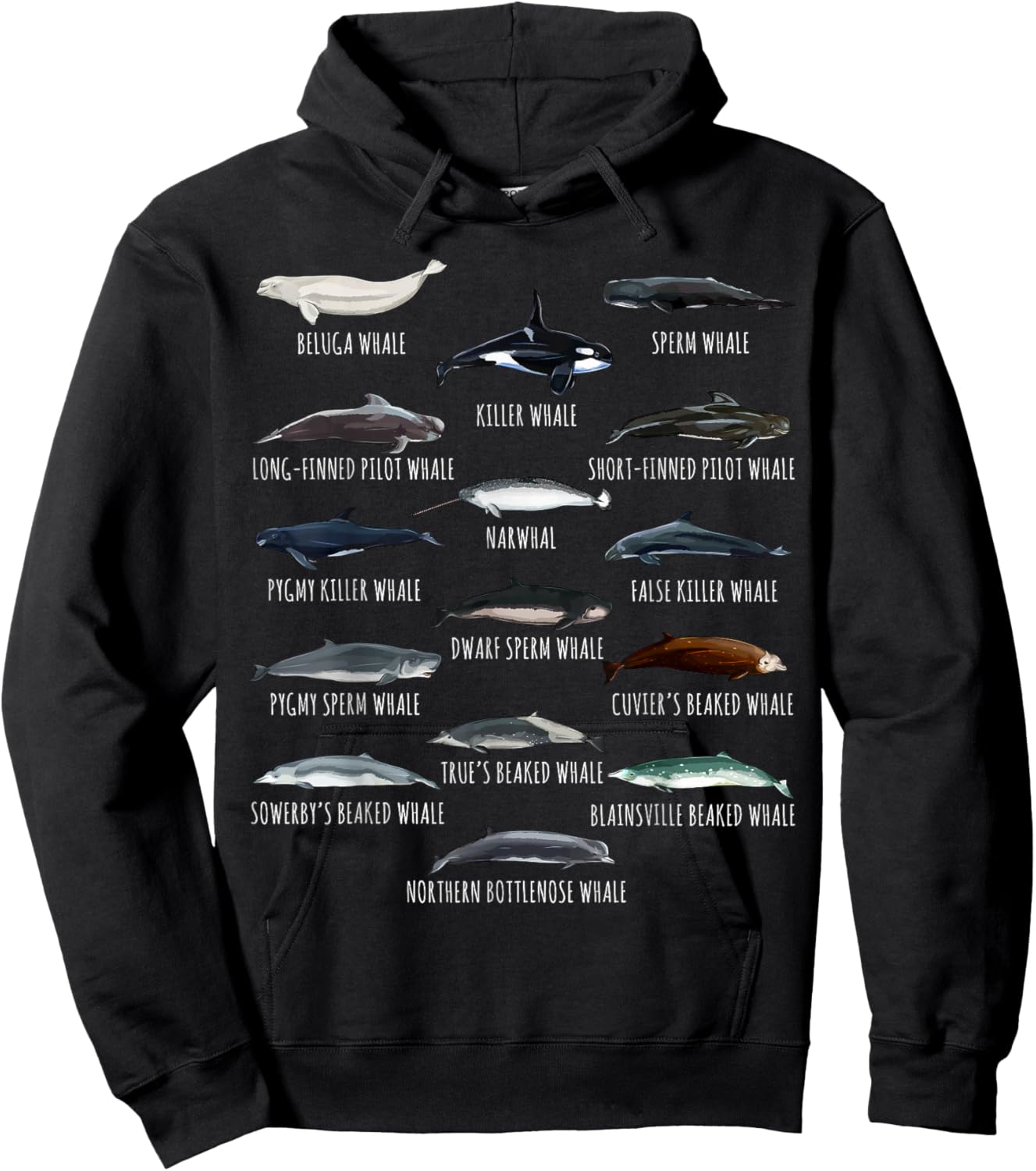 Whales Species Biology Different Types Of Whales Hoodie - Hoodie | Black