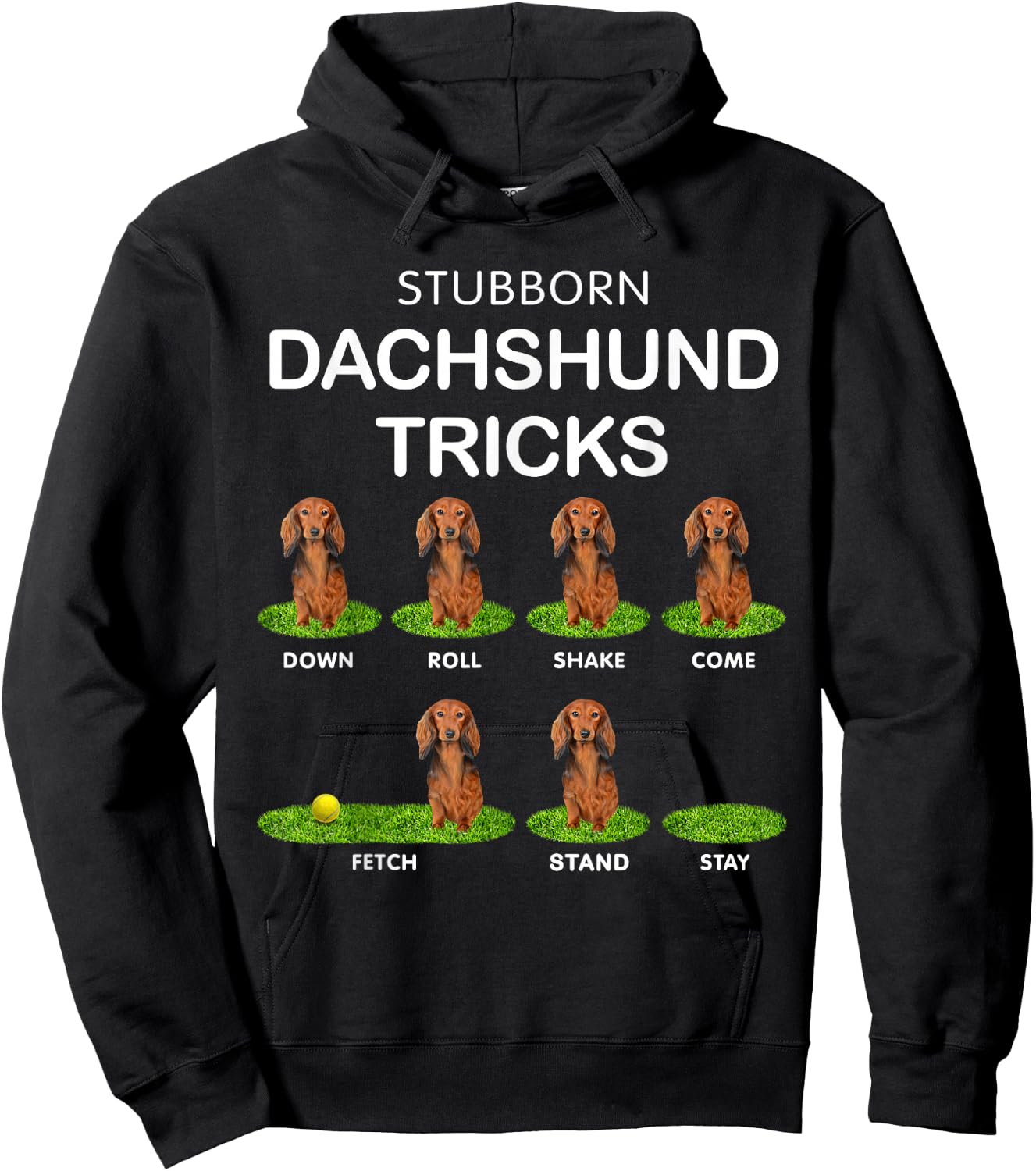 Thick Headed Dog - Funny Long Hair Dachshund for Christmas Hoodie - Hoodie | Black